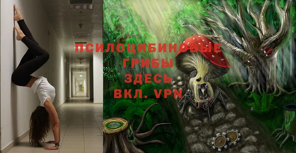 ешки Абаза