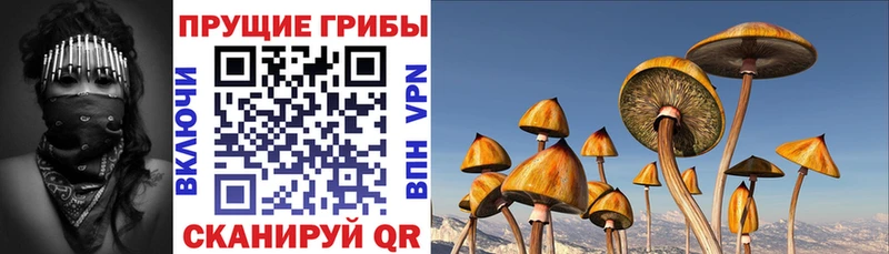Галлюциногенные грибы Magic Shrooms Томари