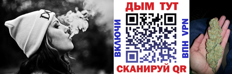 Канабис планчик  Томари 